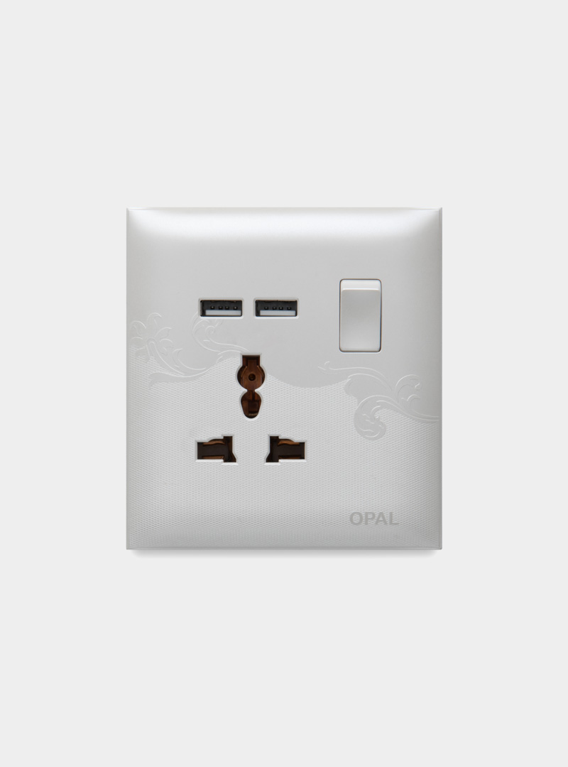 Multi Function + 2 USB